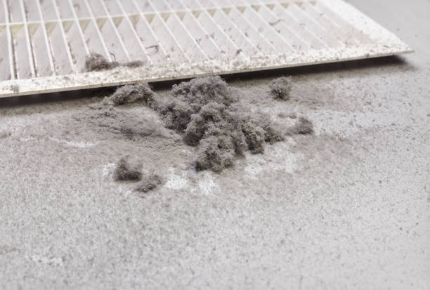 Affordable HVAC Duct Cleaning in Grant Valkaria, FL