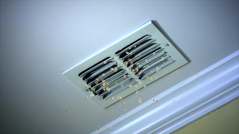 Best Emergency Air Duct Cleaning  in Grant Valkaria, FL